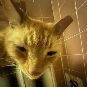 Meet your Posher, Starlynn